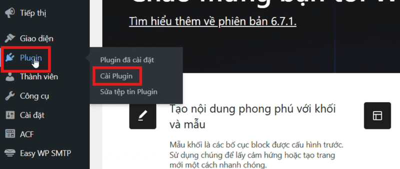 Cài plugin