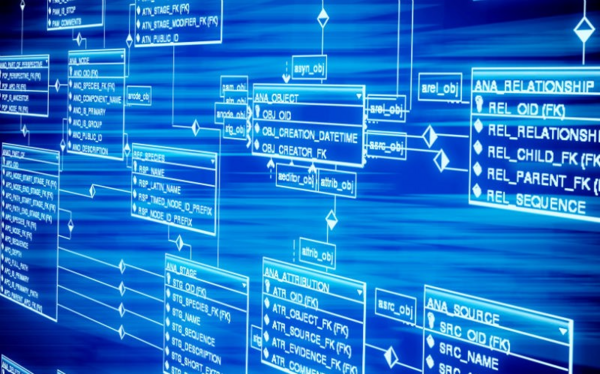 Ví dụ về Database trong thực tế