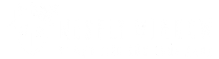 mosfly