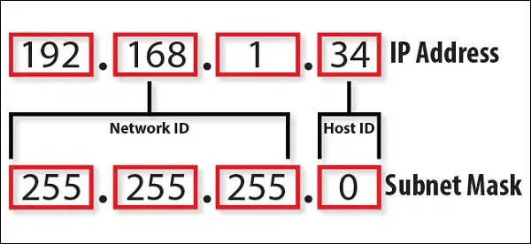 Phân loại địa chỉ IP: IP Công cộng (Public IP) và IP Riêng tư (Private IP)