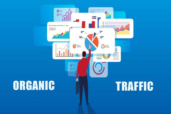 Phân biệt Organic Traffic với các nguồn truy cập Website khác