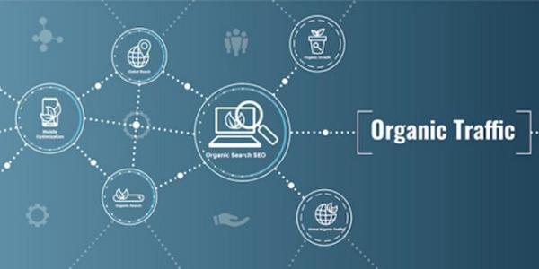 Lợi ích vượt trội của Organic Traffic đối với sự phát triển Website