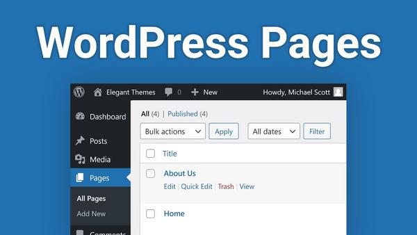 Page, Theme và Page Builder: Mối liên hệ không thể tách rời